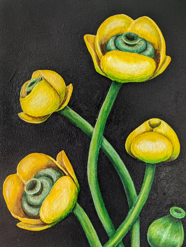 Bouquet